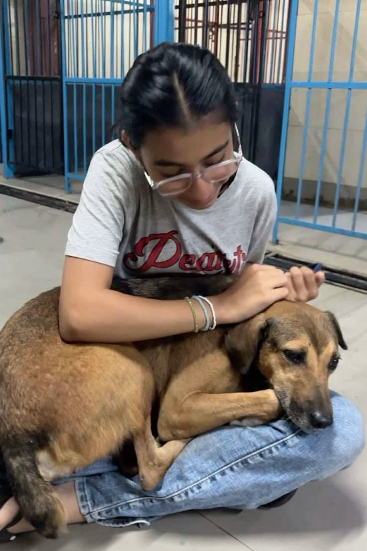 Volunteer cuddling a rescued dog at the shelter