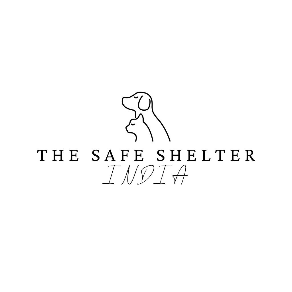 The Safe Shelter India Logo